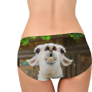 https://www.whiteelephantgifts.com/ideas/alpaca-underwear/alpacaunderwear1_huf53c7454db733c568822e9a51daf147d_23334_300x300_fill_q75_h2_box_smart1.webp